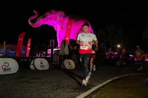 BIB: 
                            <button type="button" onclick="openModal(26534624)" class="btn btn-primary btn-sm float-right btn-popup" data-toggle="modal" data-target=".modal-high-quality">
                        <i class="fas fa-shopping-cart"></i> Add to Cart
                    </button>
                                            <button type="button" onclick="isThisMe(26534624, true)" class="btn btn-success btn-sm float-right btn-popup btn-isme hidden" data-toggle="tooltip" data-placement="bottom" title="นี่คือรูปของคุณใช่ไหม คลิกที่นี่เพื่อเอาเข้าอัลบั้ม">
                        <i class="fas fa-plus"></i> Add to album
                    </button>
                    <button type="button" onclick="isThisMe(26534624, false)" class="btn btn-warning btn-sm float-right btn-popup btn-isnotme hidden">
                        <i class="fas fa-ban"></i> Remove from album
                    </button>